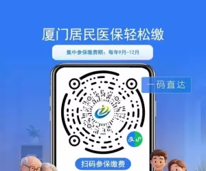 厦门医保两个小孩怎么只扣了一笔450元？